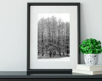 alpine Landschaft druckbare Kunst - monochrome Wandkunst - Österreichische Alpen Winterwald - Bäume schwarz weiß Wandkunst