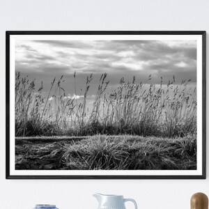 sea grass digital print - Norway coastal landscape decor - Scandinavia cottage chic decor - nature photography - boho decor - download print