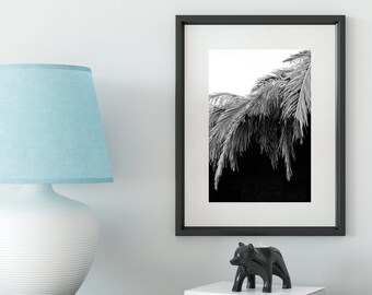 Black and White Palm Tree Print - Egypt Beach Photography (Digital Download)