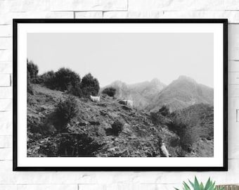 Mountain Goats Black and White Photo - Rustic Landscape (Digital Download)