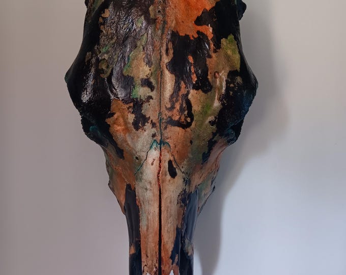 Authentic Real Bone Cow Skull Hand Abstract Painted - Modern Rustic Ranch Art Decor - Yellowstone Style Lodge Wall Hanging by Texas Artist