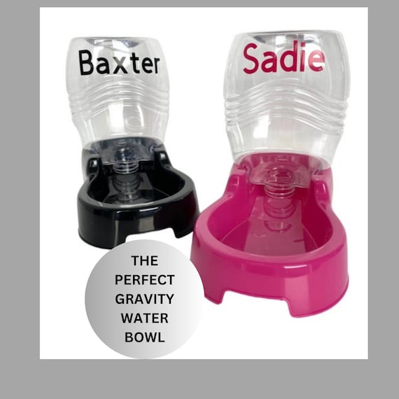 Gravity Water Bowl Personalized Water Dispensing Bowl Custom Cat