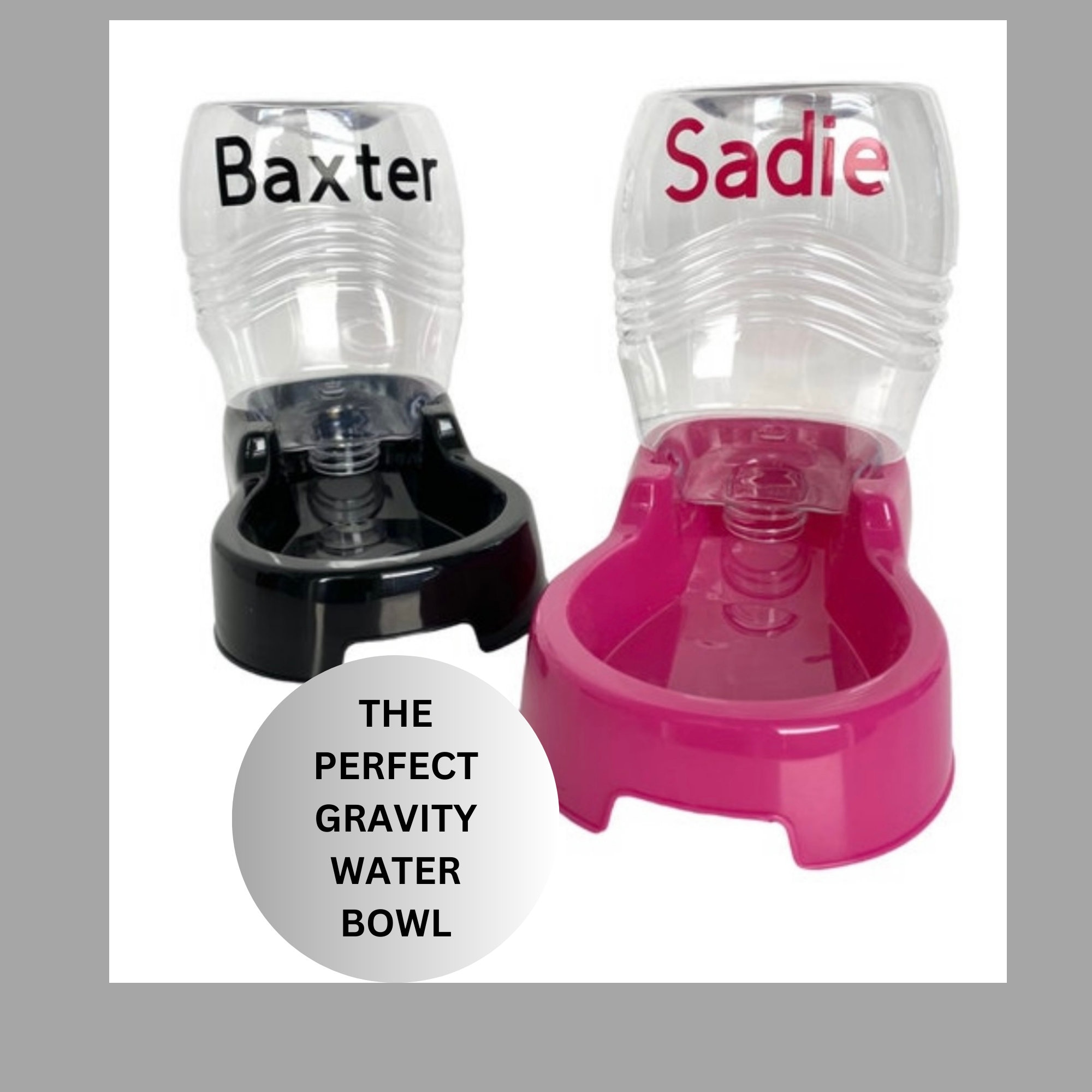 Gravity water bowl cat online