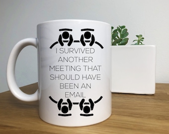 I Survived Another Meeting That Should Have Been An Email,  Co Worker Gift, Gift for Friend,  Funny Gift