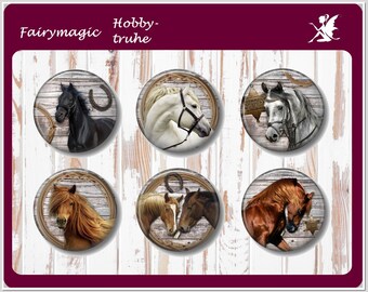 HORSES Motif Cabochon Glass Cabochons Handmade Arctic Fox Wolf Lion Pigeon Snow Leopard