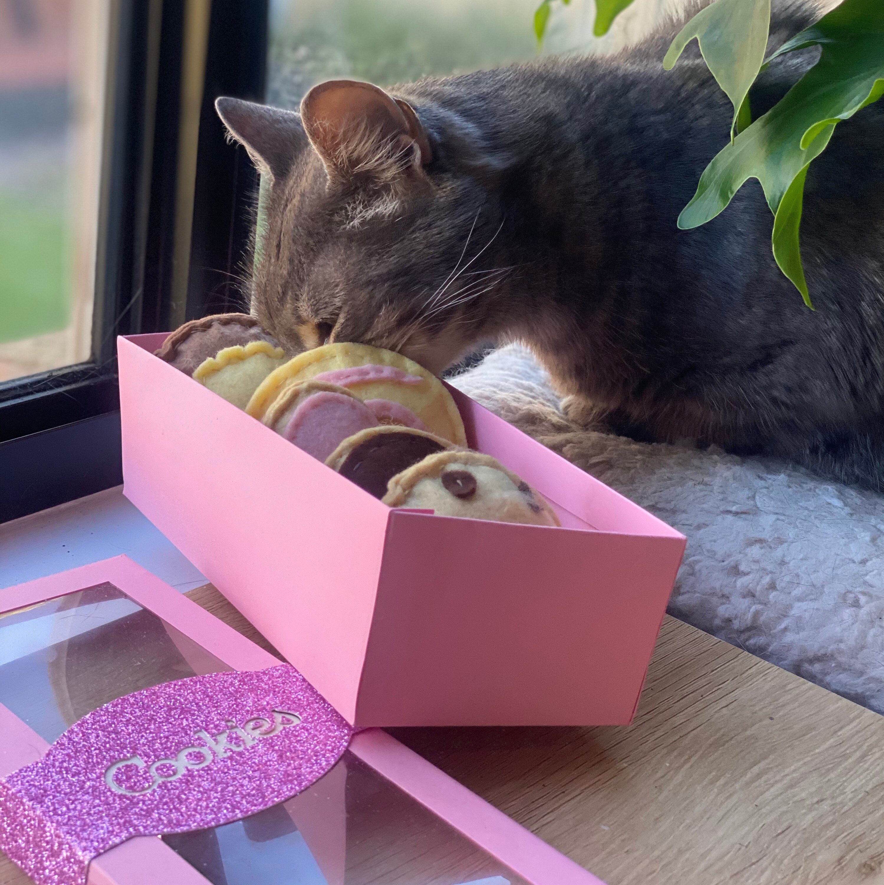 Catnip Galletas lindo gato de gato de toy. Hecho a mano de Etsy