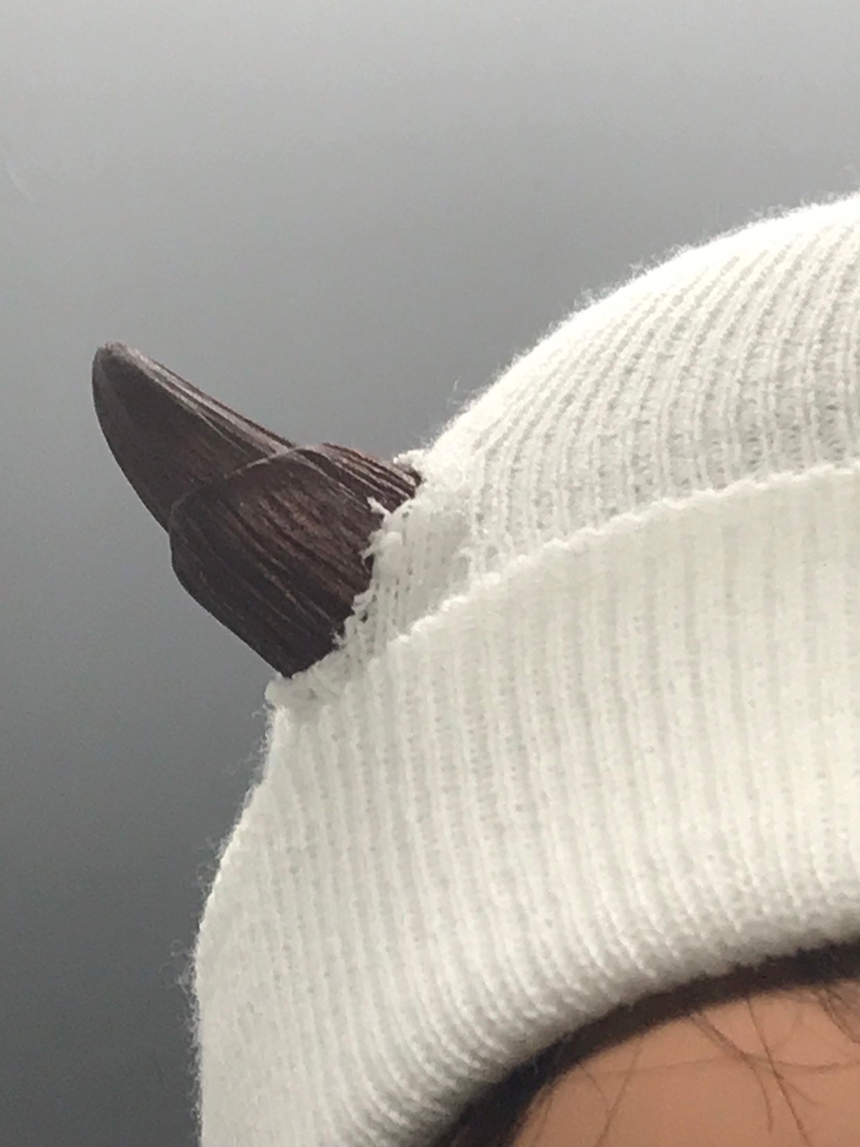 Dark Bronze Horned Hat Beanie Demon Devil Creature Etsy