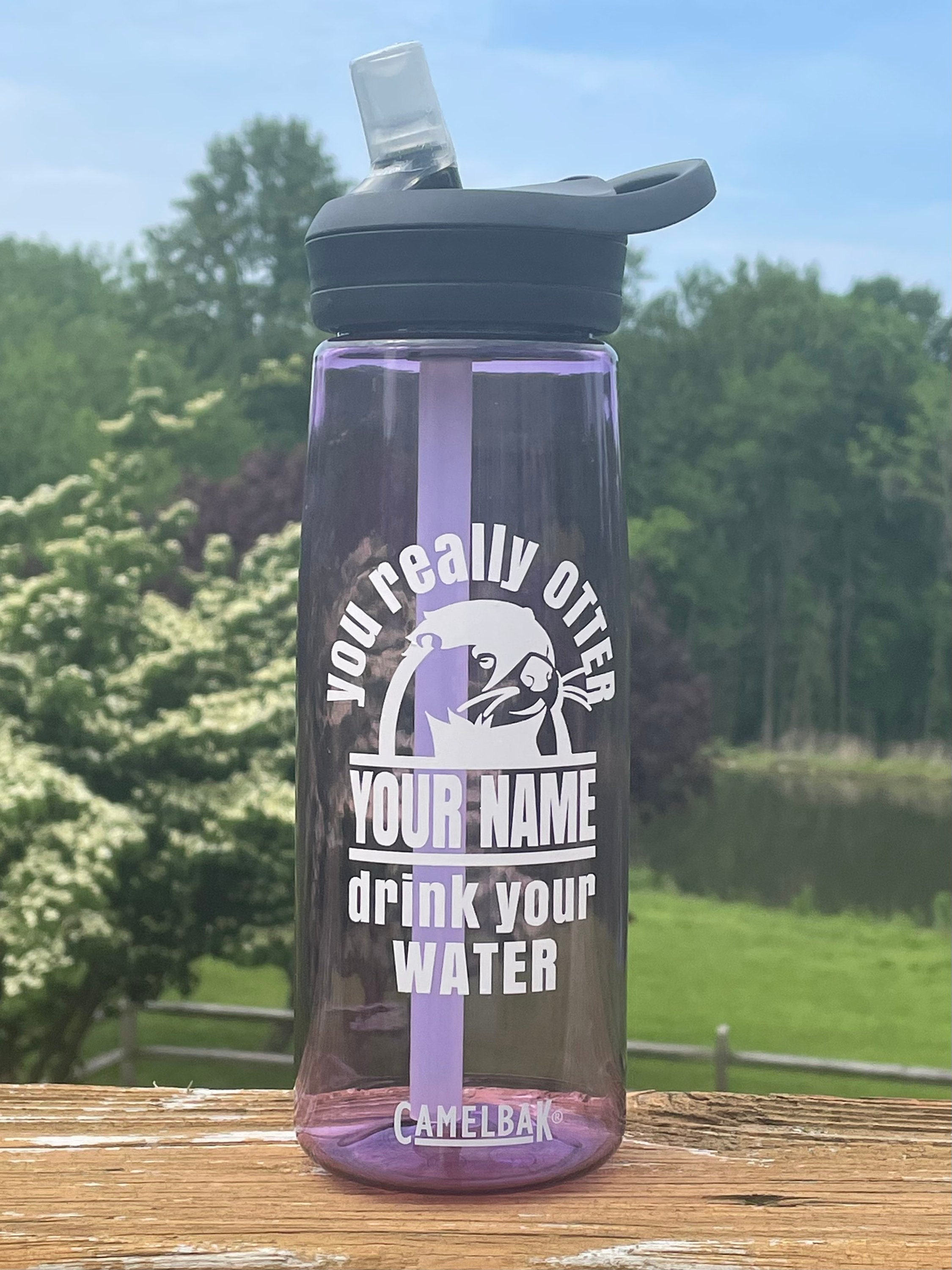CamelBak 25oz Eddy+ Vacuum Insulated Stainless Steel Water Bottle - Pastel  Purple