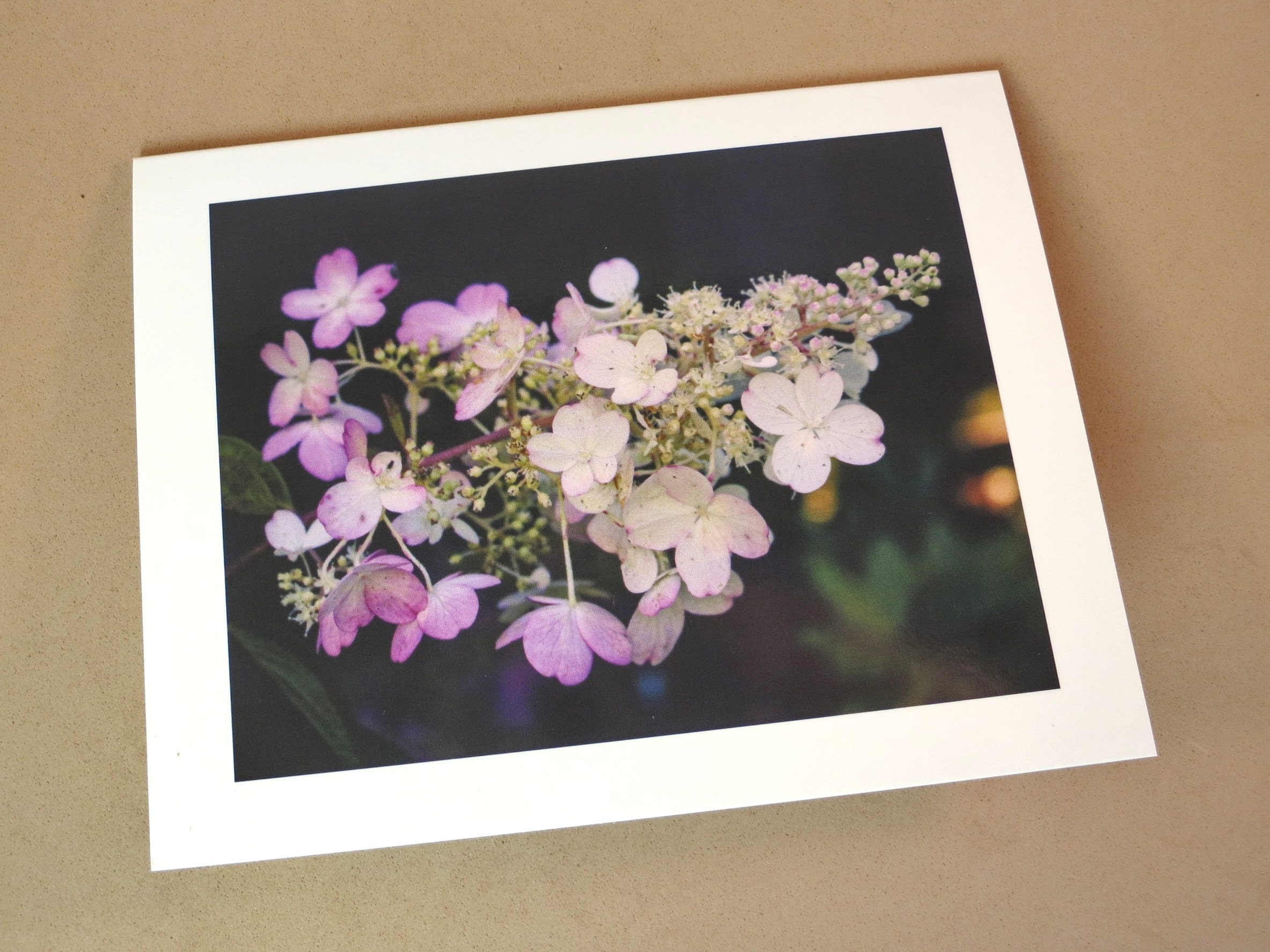 Wild Flowers Photo Note Card Love Mother S Day Just Etsy