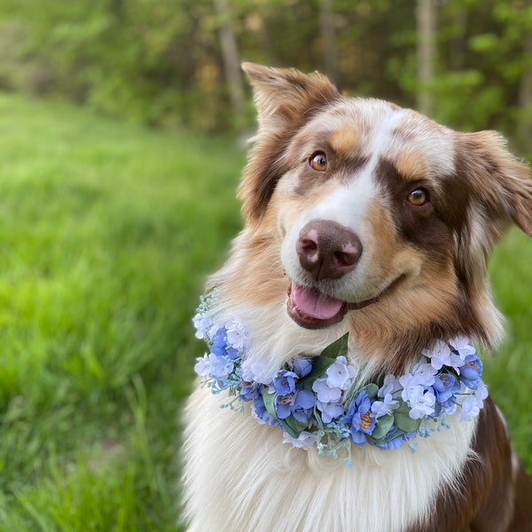 Collier de fleurs pour chien de mariage, couronne florale de chien pour les photos de fiançailles, couronne de fleurs pour chien pour les anniversaires, faire-part