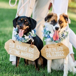 Flower Wedding Dog Collar