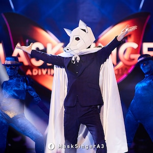 K&ouml;nnte beinhalten: Eine Person mit einer wei&szlig;en Schweinemaske und einem wei&szlig;en Umhang, die auf einer B&uuml;hne mit dem Wort "MASK SINGER" im Hintergrund steht.