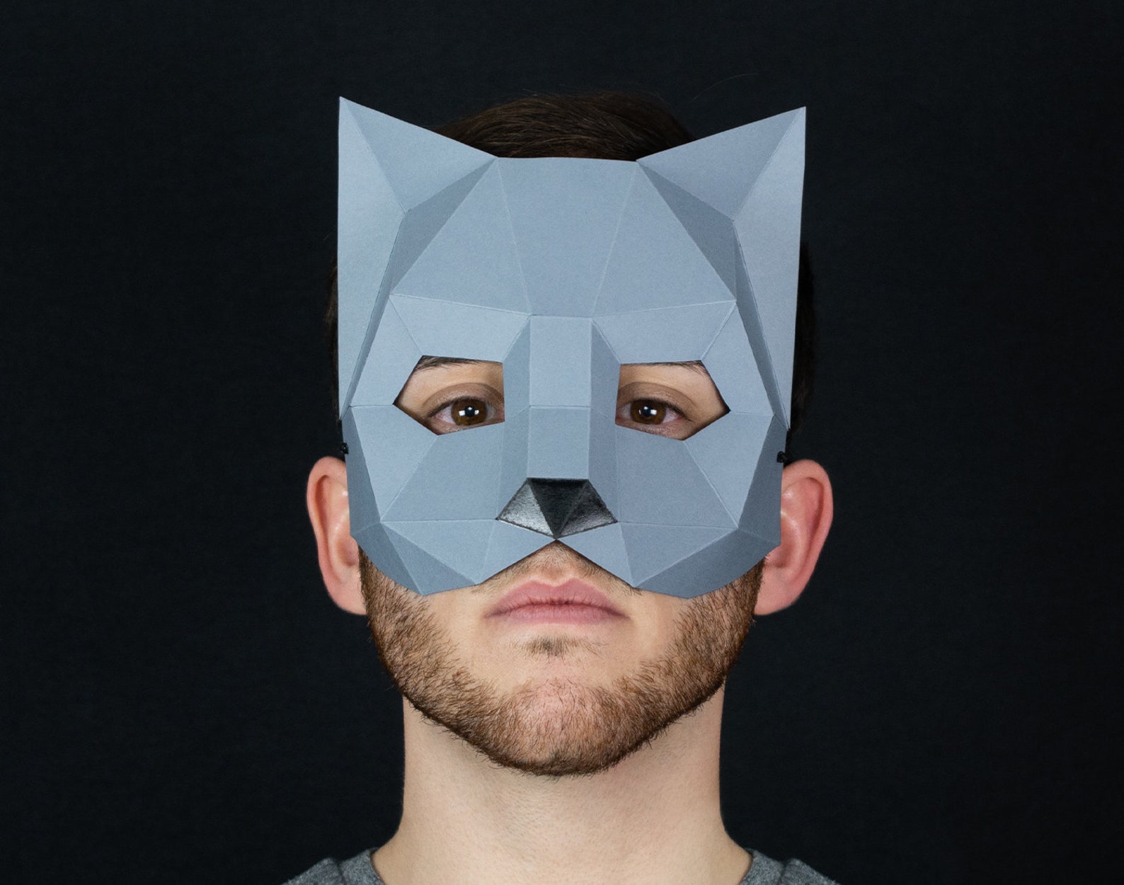 Cat Masquerade DIY Paper Mask Printable Template Etsy France