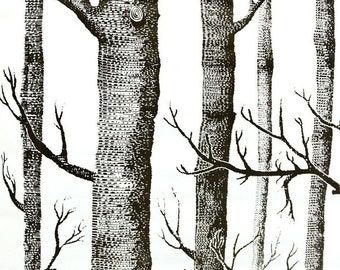 Birch Tree Wallpaper: Black & White Self Adhesive Vinyl (600cm x 45cm)