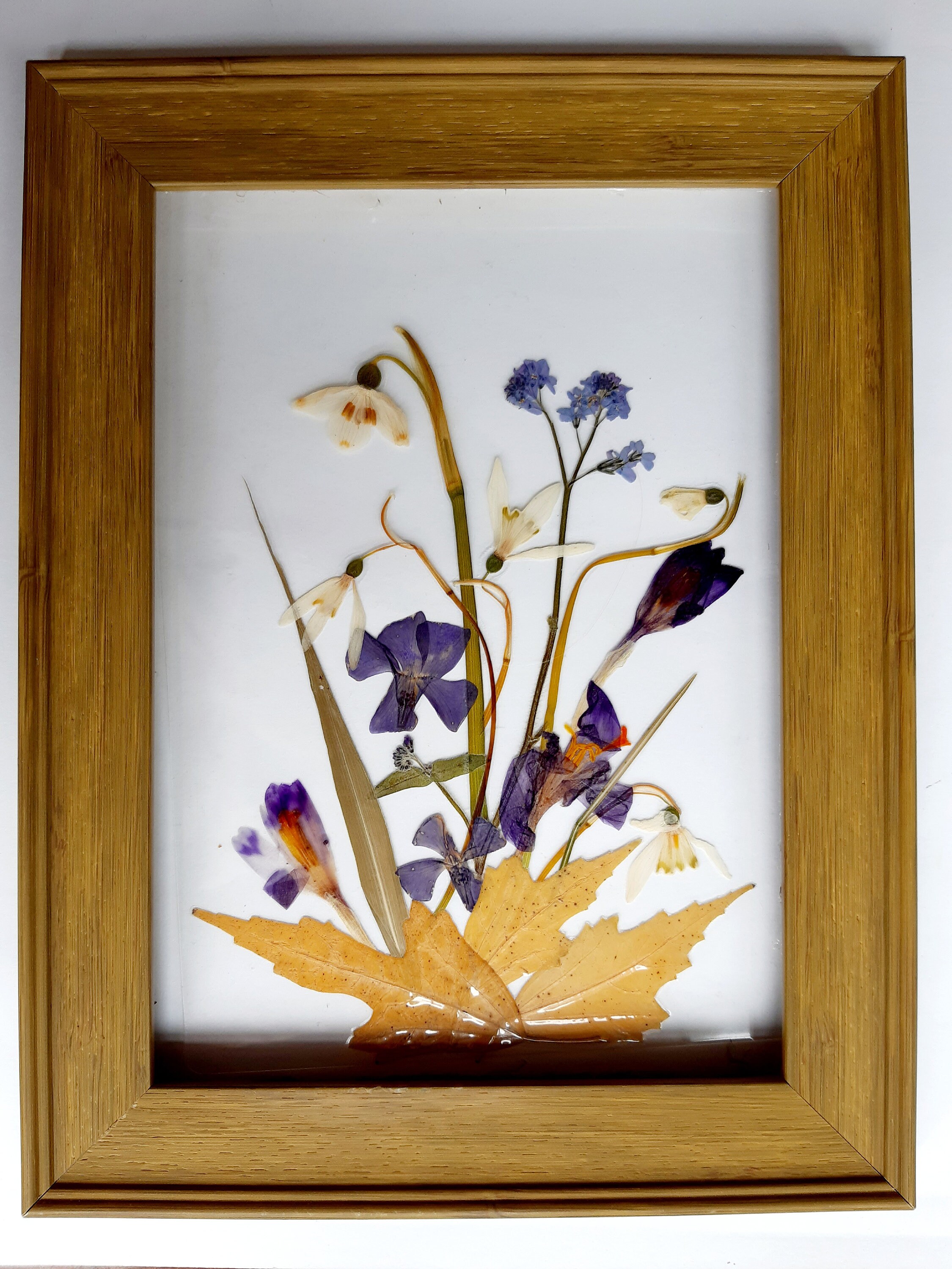 Original gepresste Blumen Bild trockene Blumen botanische | Etsy