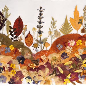 Fiori pressati originali, pittura, OSHIBANA, stile country, arte dei fiori secchi, piante pressate, regalo per gli amanti della natura, regalo raro, stile Boho