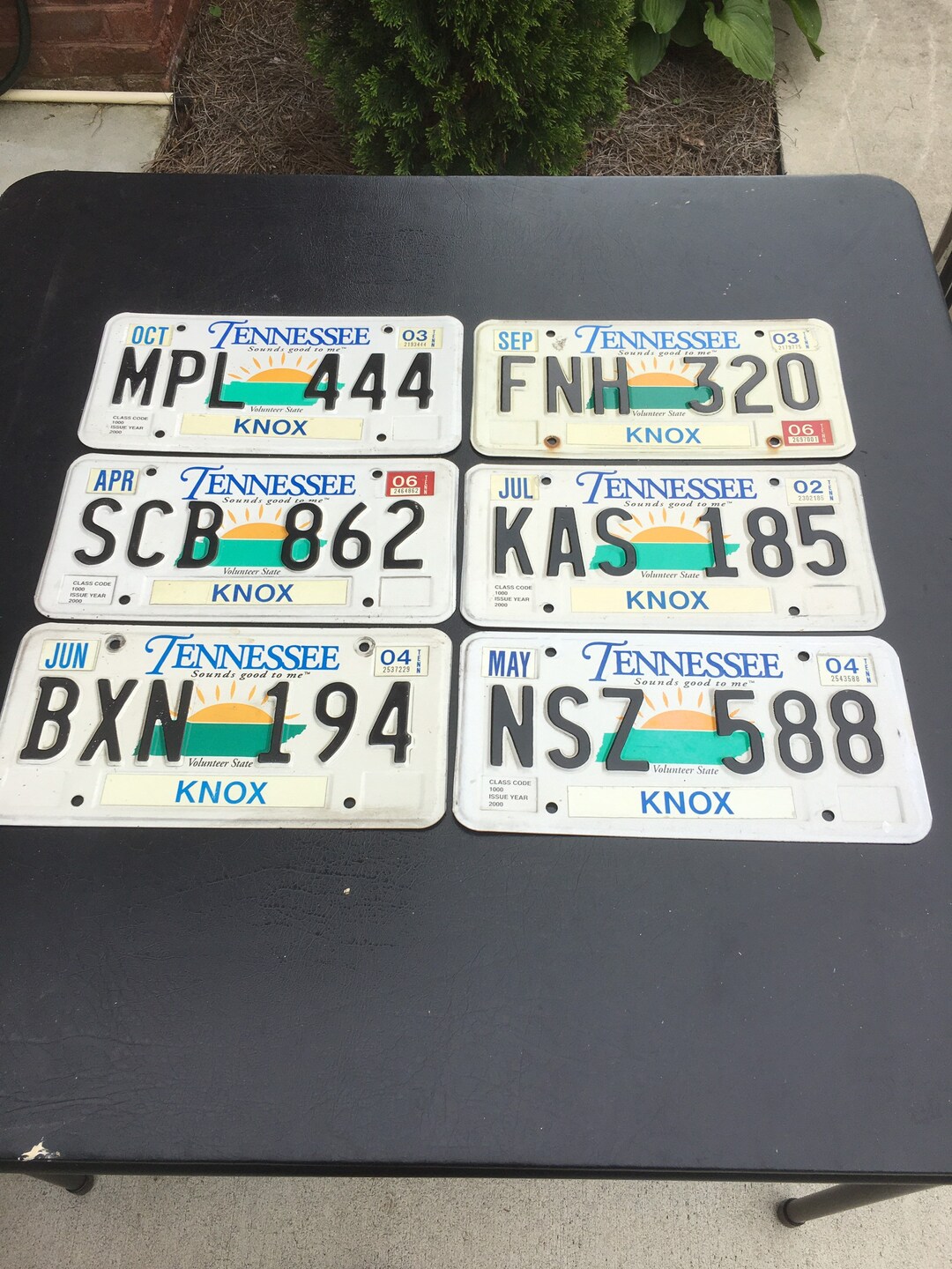 TN License Plates Etsy