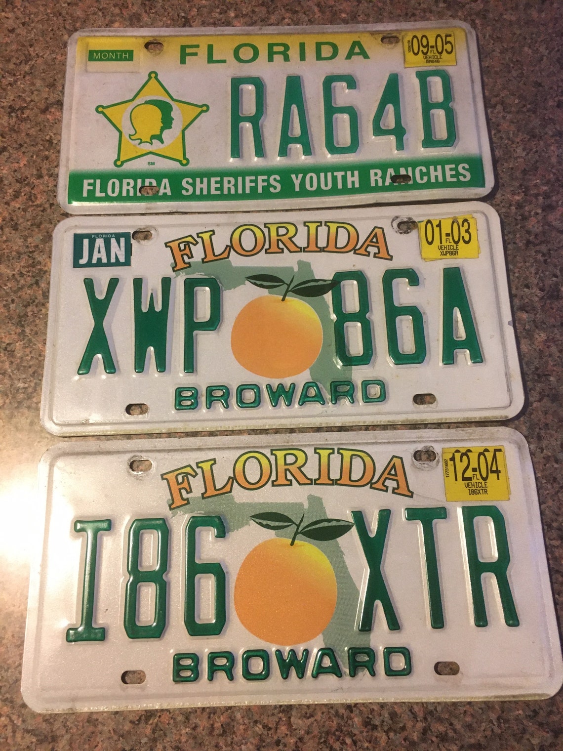 Florida Plates Etsy