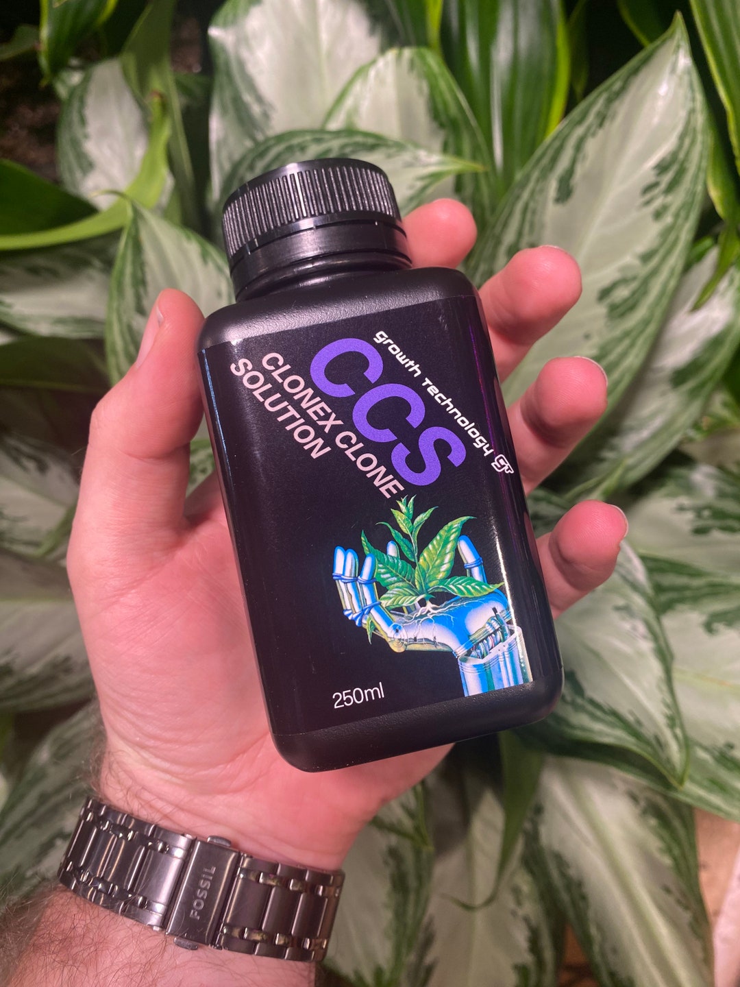 Clonex Clone Solution CCS 250ml Premium Plant Propagation Solution. Etsy