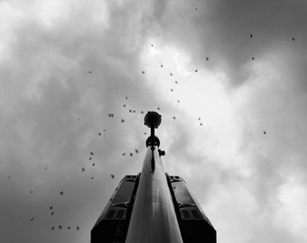 Nashville Druck, Tennessee Druck, Vögel Druck, Vogelschwarm, Laternenpfahl, Dramatischer Himmel, Himmel Druck, Vögel im Himmel, Stimmungsvolle Fotografie