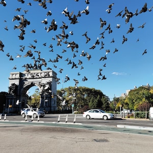 Grand Army Plaza, Arco Conmemorativo de Soldados y Marineros, Prospect Heights, Park Slope, Impresión de Brooklyn, Fotografía de Brooklyn, Impresión de Nueva York