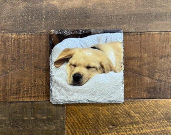 Personalised Photo Portrait / Pet Coasters - Custom UV Printed Natural Slate Stone - Housewarming - Wedding Favours - Anniversary Gift