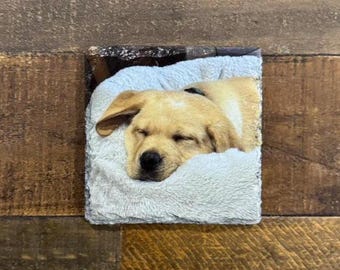 Personalised Pet Photo Portrait / Pet Coasters - Custom UV Printed Natural Slate Stone - Housewarming - Wedding Favours - Anniversary Gift