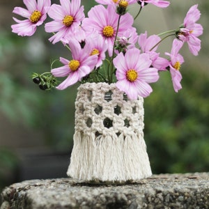 May include: A bouquet of pink cosmos flowers in a glass jar with a crocheted cover and fringe. The jar is sitting on a gray stone surface.