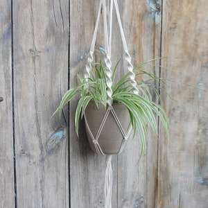 Könnte beinhalten: Ein weißer Makramee-Pflanzenhänger mit einer Topfpflanze, die daran hängt. Der Hänger ist aus dickem Baumwollseil gefertigt und hat unten einen Quasten. Die Pflanze ist eine Grünlilie mit langen, grünen Blättern.