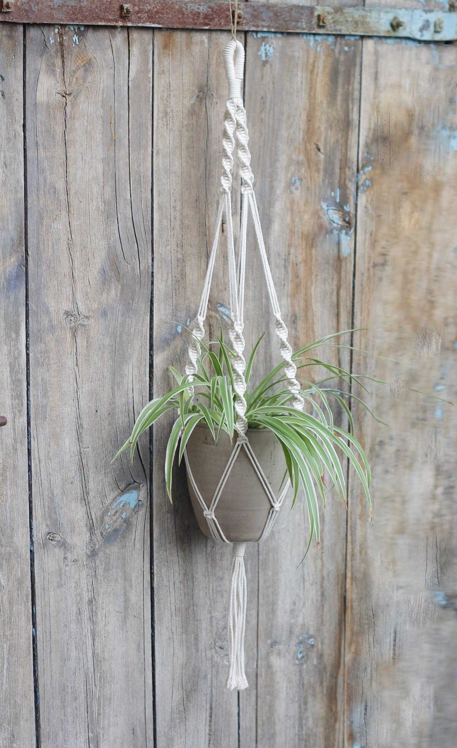 Suspension Macramé Pour Plante