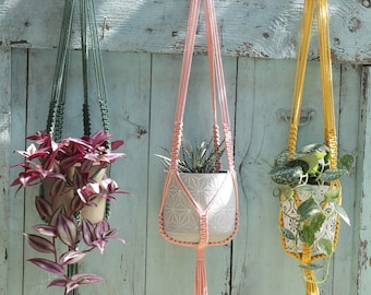 May include: Three macrame plant hangers with wooden rings, hanging from hooks on a blue wooden wall. The hangers are green, pink, and yellow, and each holds a potted plant.
