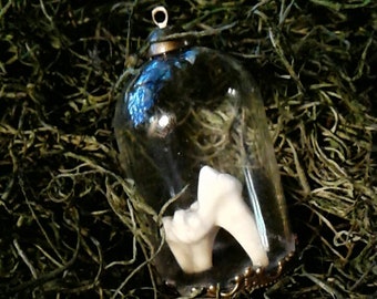 Hog's Tooth Pendant (With Necklace)