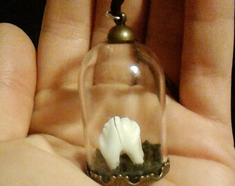 Hog's Tooth Pendant (with necklace)