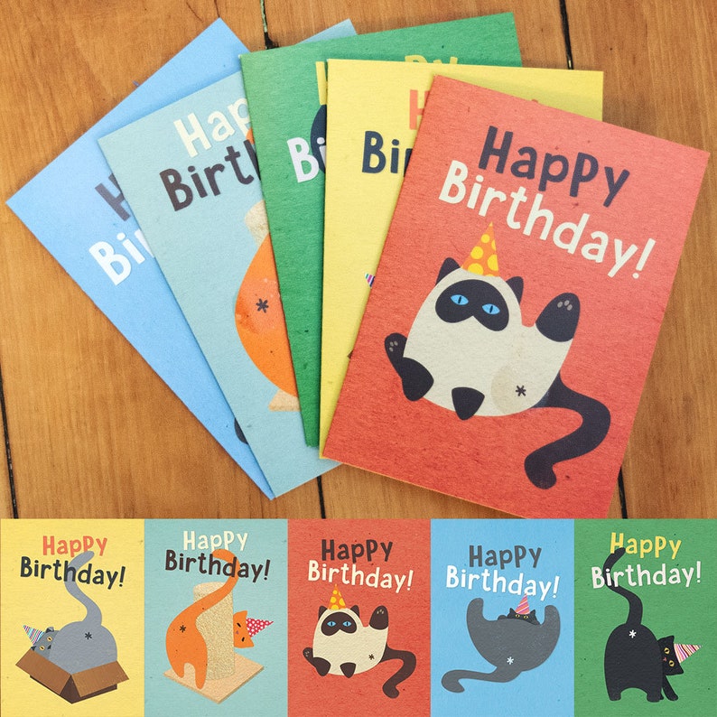 Cat Butt Scratch & Sniff Birthday Card, Funny Greeting Card, Blank Inside, 5 Styles All 5 - Save 20%!