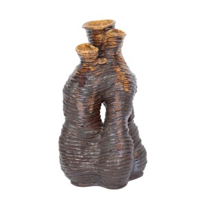 May include: A brown ceramic vase with a unique, organic shape. The vase has three openings at the top and a textured, ridged surface. The color is a mix of dark brown and gold.