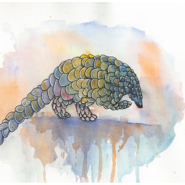 Watercolor Colorful Pangolin Art Print by Bethany Kerr