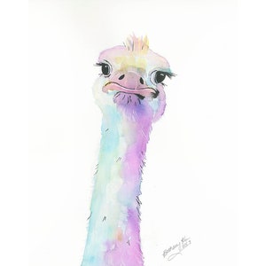 Watercolor Ostrich Painting Art Print by Bethany Kerr