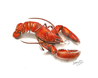 Beach Art Restaurant Art Watercolor Red Lobster Art Print by Bethany