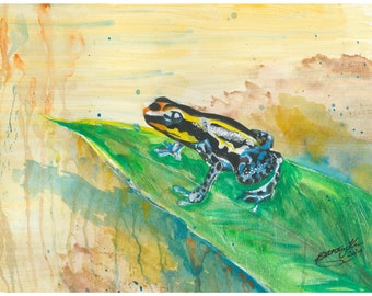 Frog Watercolor Digital Download Art by Bethany