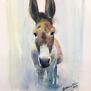 Donkey Watercolor Art Print by Bethany Kerr