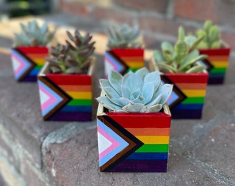 Progress Pride Flag Planter