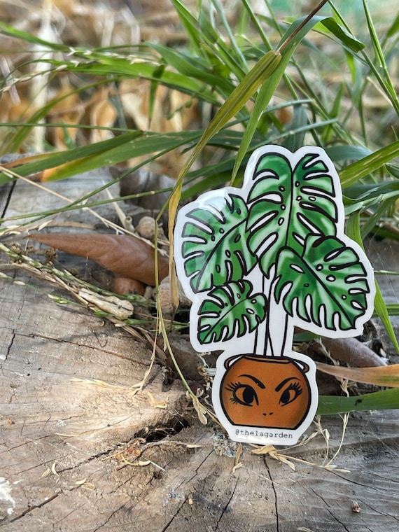 Monstera Sticker, La Sad Girl Monstera, Vinyl Sticker, Waterproof Sticker -  Etsy