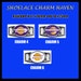 LOS ANGELES LAKERS Shoelace Charm Paracord Bracelet Charm Oval Charm 12 x 16mm or 18 x 25mm Charms
