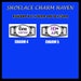 LUPUS AWARENESS Shoelace Charm Paracord Bracelet Charm Oval Charm 12 x 16mm or 18 x 25mm Charms