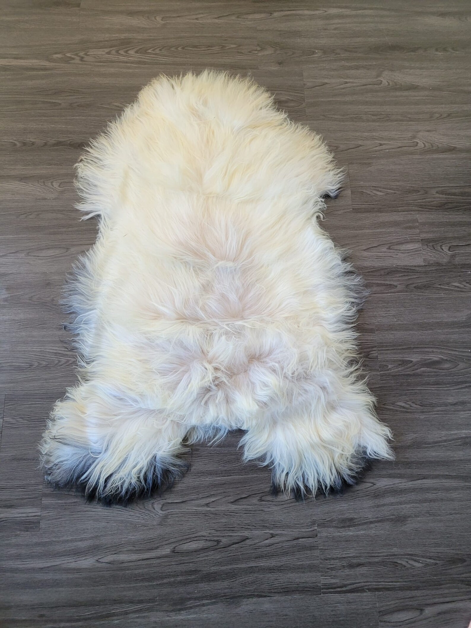 Genuine Sheepskin Rug / Real Sheepskin Rug / Icelandic Etsy