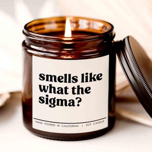 Smells like what the sigma ? candle, birthday present, candle for friend, anniversary candle, unique present, gift for her
