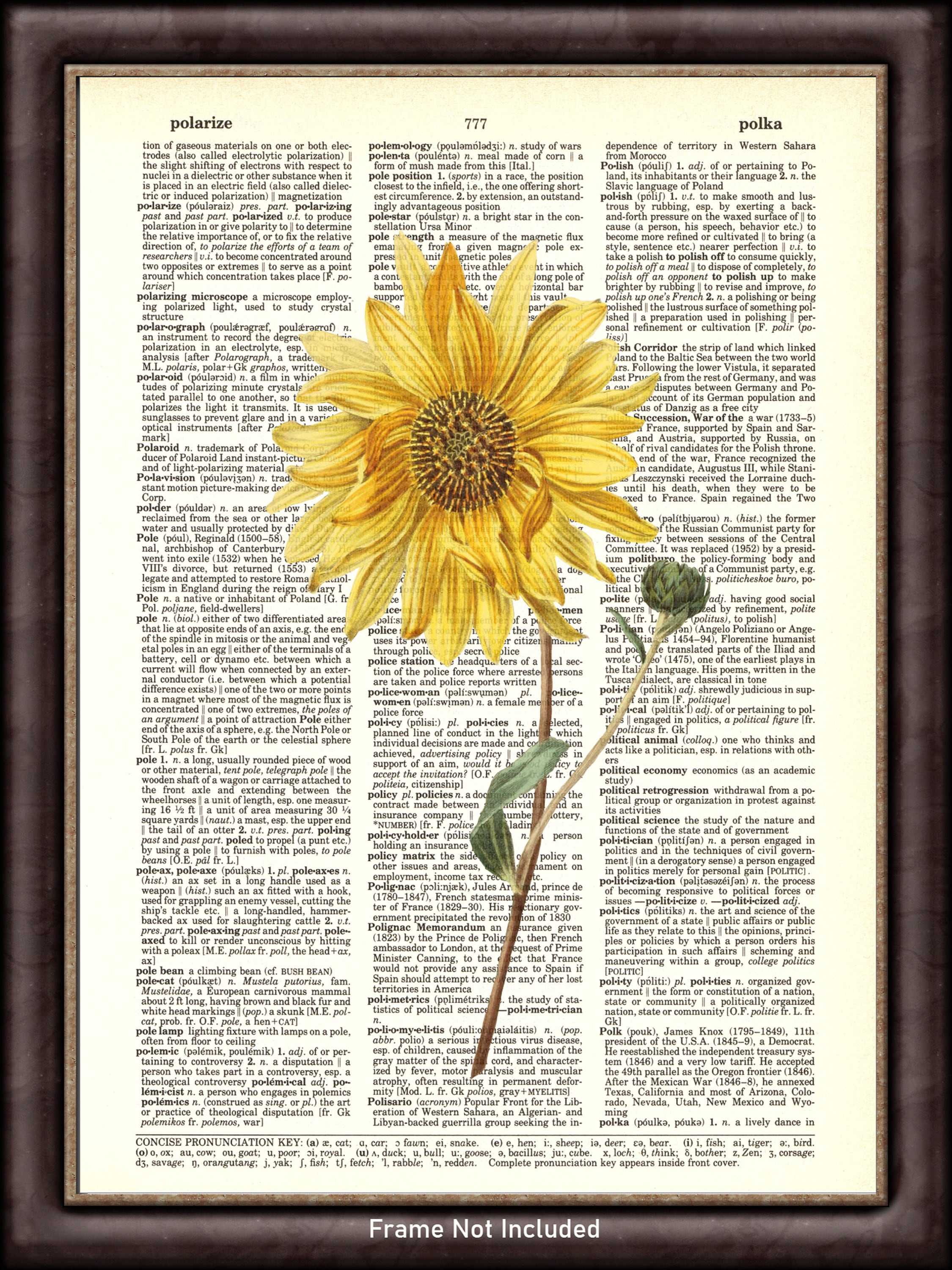 Sunflower DICTIONARY ART PRINT - Botanical Wall Art Decor - Vintage Upcycled Dictionary Page ...
