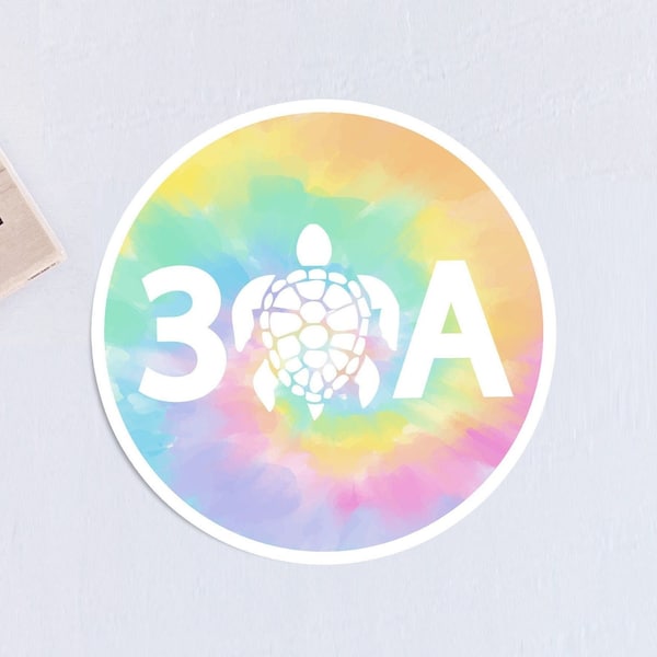 30A Florida Vinyl Sticker, Tie Dye Emerald Coast Sunshine State Decal, Rainbow Pastel Watercolor Sea Turtle Florida Gift, PCB Seaside Beach