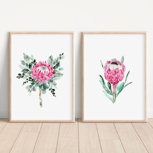 King Protea Painting, South Africa Protea Flower Wall Art, Set of 2 Watercolor Floral Prints, Australia Botanical Pink Bedroom Wall Decor