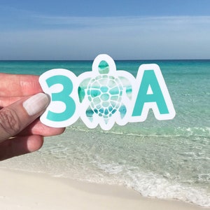 30A Florida Vinyl Sticker, Vibrant Emerald Coast Sunshine State Decal, Teal Watercolor Sea Turtle Florida Gift, Destin Seaside PCB beaches